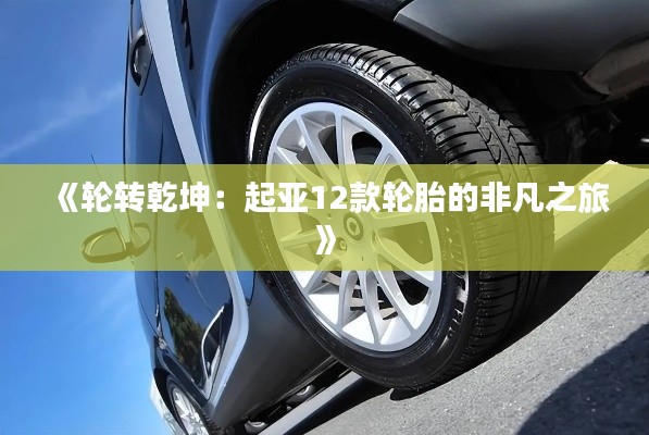 搬家運(yùn)輸 第238頁