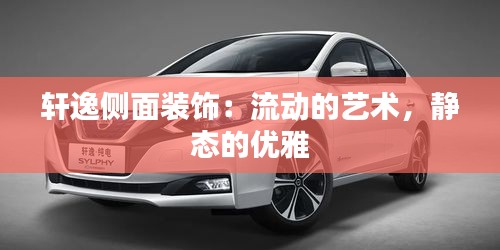 軒逸側(cè)面裝飾：流動的藝術(shù)，靜態(tài)的優(yōu)雅