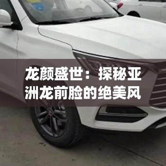 龍顏盛世：探秘亞洲龍前臉的絕美風(fēng)采