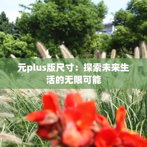 元plus版尺寸：探索未來生活的無限可能