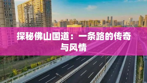 探秘佛山國(guó)道：一條路的傳奇與風(fēng)情