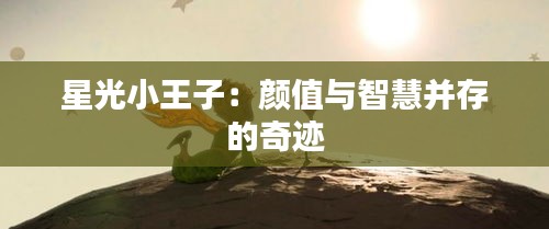 星光小王子：顏值與智慧并存的奇跡