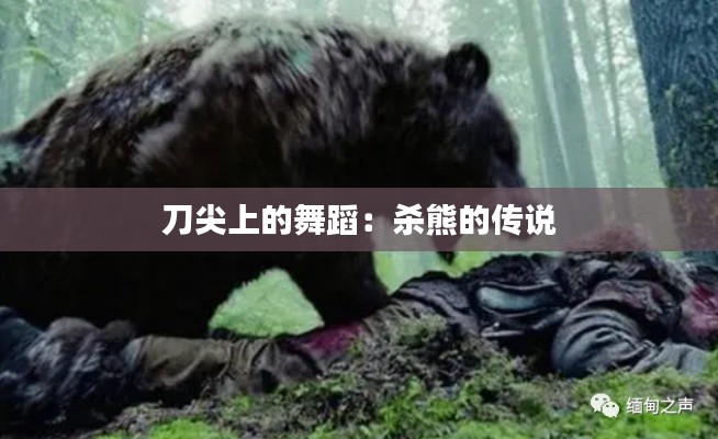 刀尖上的舞蹈：殺熊的傳說