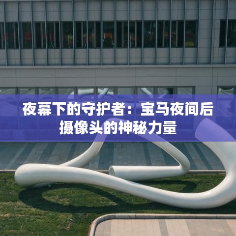 夜幕下的守護者：寶馬夜間后攝像頭的神秘力量