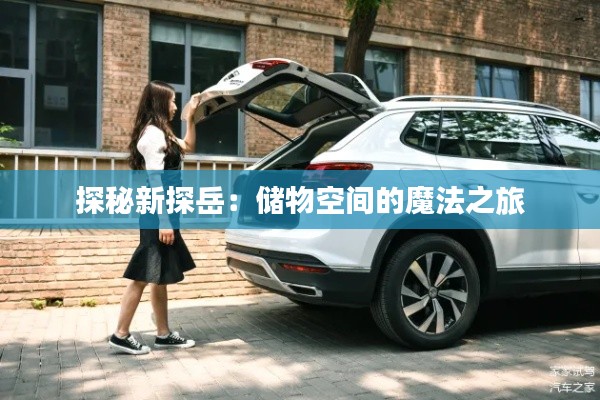 探秘新探岳：儲物空間的魔法之旅