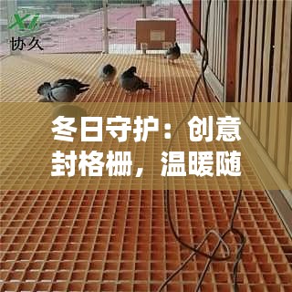 冬日守護(hù)：創(chuàng)意封格柵，溫暖隨行