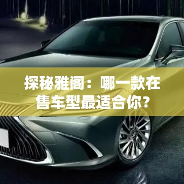 探秘雅閣：哪一款在售車型最適合你？