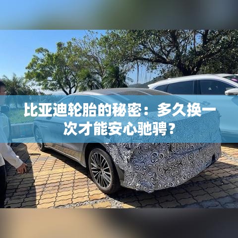 搬家運(yùn)輸 第234頁