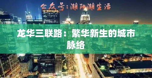 龍華三聯路：繁華新生的城市脈絡