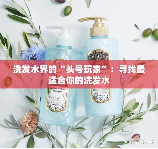 洗發(fā)水界的“頭號玩家”：尋找最適合你的洗發(fā)水