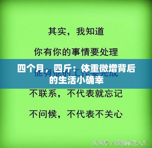 關(guān)于我們 第232頁(yè)