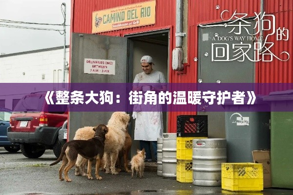 《整條大狗：街角的溫暖守護(hù)者》