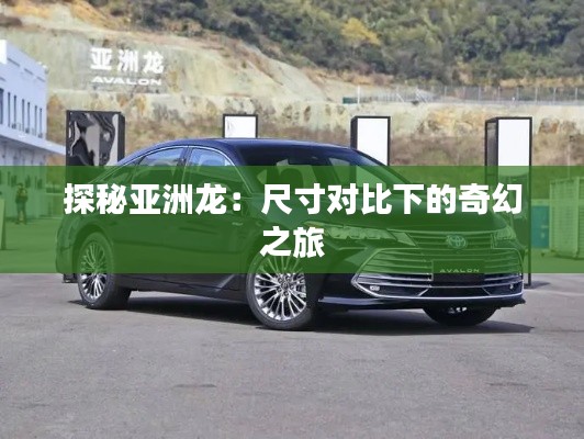 探秘亞洲龍：尺寸對(duì)比下的奇幻之旅