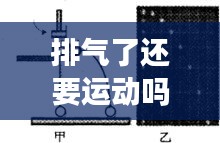 排氣了還要運(yùn)動(dòng)嗎？——探索身體與運(yùn)動(dòng)的微妙關(guān)系