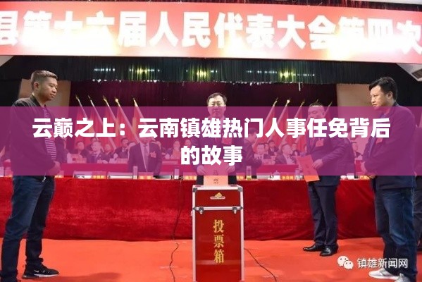 云巔之上：云南鎮(zhèn)雄熱門人事任免背后的故事