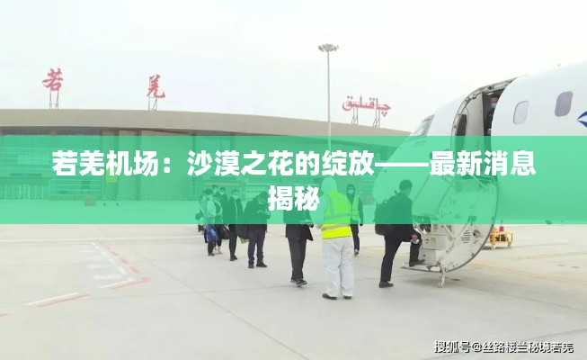 公路運(yùn)輸 第226頁