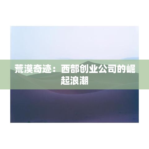 荒漠奇跡：西部創(chuàng)業(yè)公司的崛起浪潮