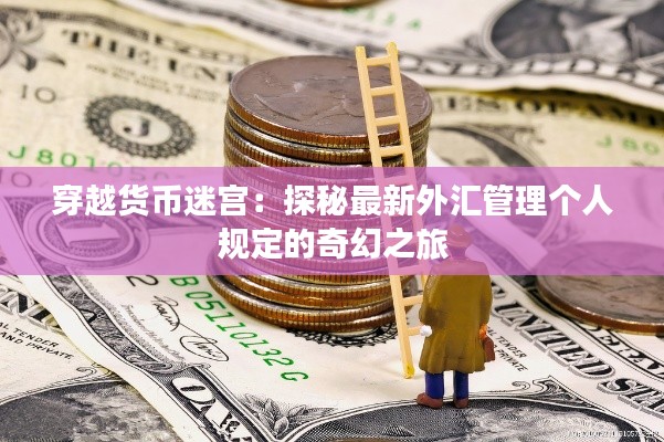 穿越貨幣迷宮：探秘最新外匯管理個人規(guī)定的奇幻之旅