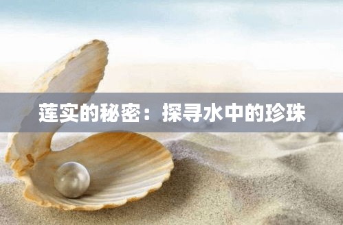 蓮實的秘密：探尋水中的珍珠