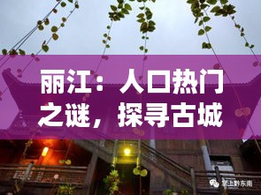 經(jīng)典案例 第255頁