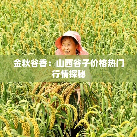 金秋谷香：山西谷子價格熱門行情探秘