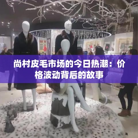 尚村皮毛市場的今日熱潮：價(jià)格波動(dòng)背后的故事