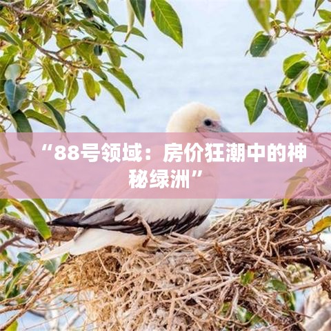 “88號(hào)領(lǐng)域：房價(jià)狂潮中的神秘綠洲”