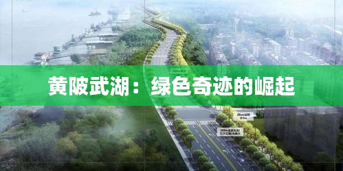 黃陂武湖：綠色奇跡的崛起