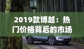 2019款博越：熱門價(jià)格背后的市場狂潮