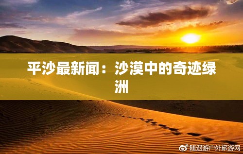 平沙最新聞：沙漠中的奇跡綠洲