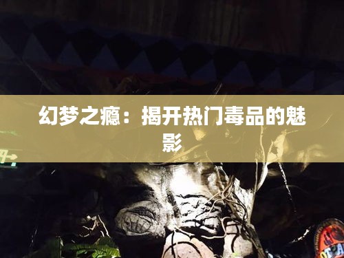 幻夢(mèng)之癮：揭開(kāi)熱門(mén)毒品的魅影