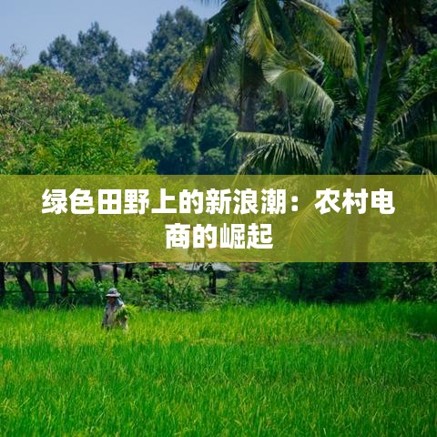 綠色田野上的新浪潮：農(nóng)村電商的崛起