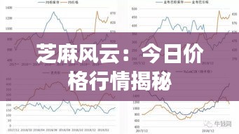 芝麻風(fēng)云：今日價(jià)格行情揭秘