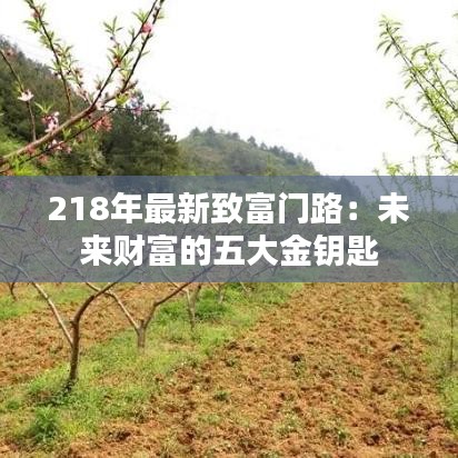 218年最新致富門路：未來財(cái)富的五大金鑰匙