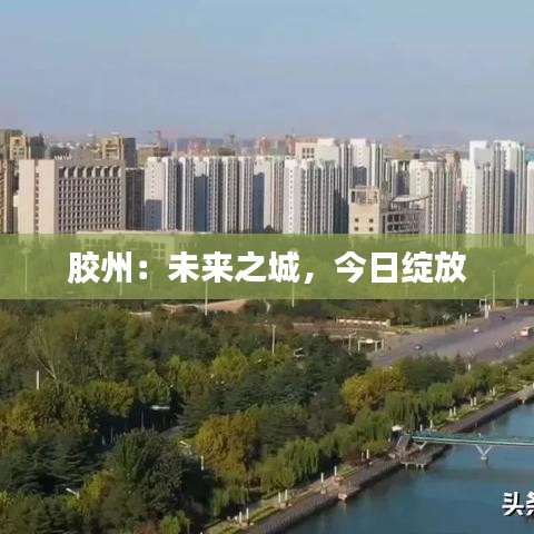膠州：未來之城，今日綻放