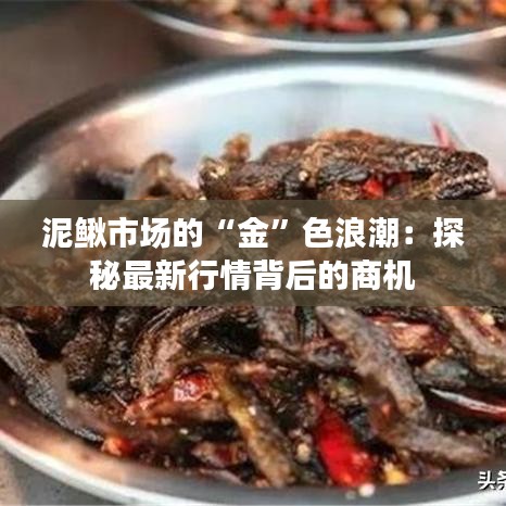 泥鰍市場(chǎng)的“金”色浪潮：探秘最新行情背后的商機(jī)