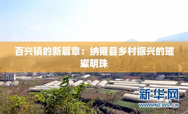 百興鎮(zhèn)的新篇章：納雍縣鄉(xiāng)村振興的璀璨明珠