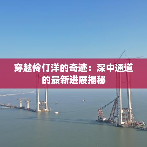 公路運(yùn)輸 第218頁