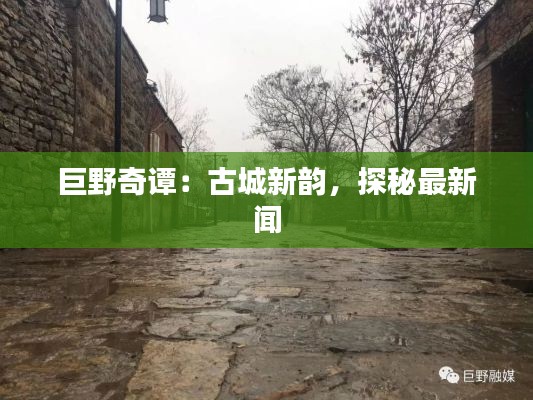 巨野奇譚：古城新韻，探秘最新聞