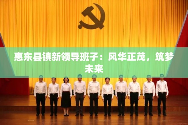 惠東縣鎮(zhèn)新領(lǐng)導(dǎo)班子：風(fēng)華正茂，筑夢(mèng)未來(lái)