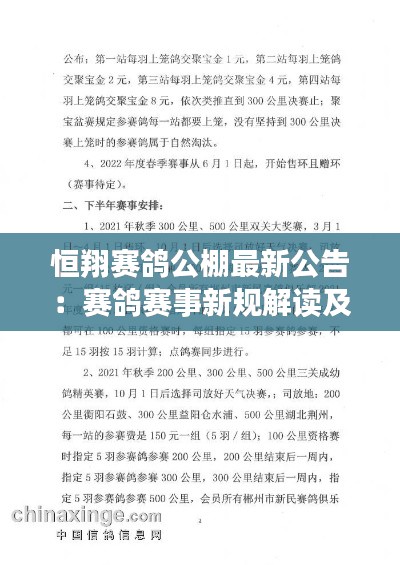 恒翔賽鴿公棚最新公告：賽鴿賽事新規(guī)解讀及參賽指南