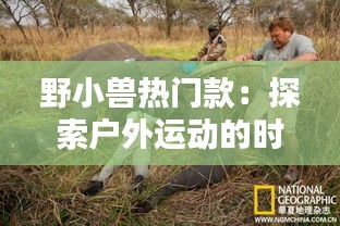 野小獸熱門款：探索戶外運動的時尚新選擇