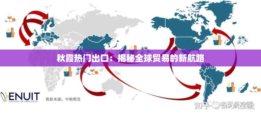 秋霞熱門出口：揭秘全球貿(mào)易的新航路
