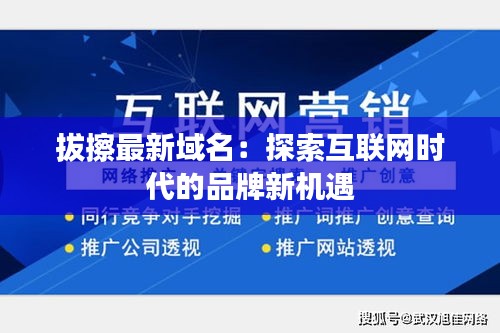 拔擦最新域名：探索互聯(lián)網(wǎng)時代的品牌新機遇