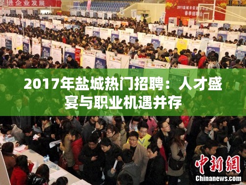 2017年鹽城熱門招聘：人才盛宴與職業(yè)機(jī)遇并存