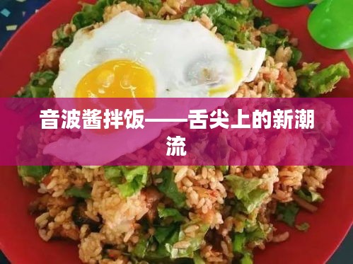 音波醬拌飯——舌尖上的新潮流