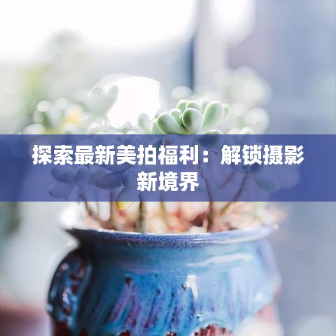 探索最新美拍福利：解鎖攝影新境界