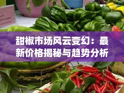 甜椒市場風(fēng)云變幻：最新價格揭秘與趨勢分析