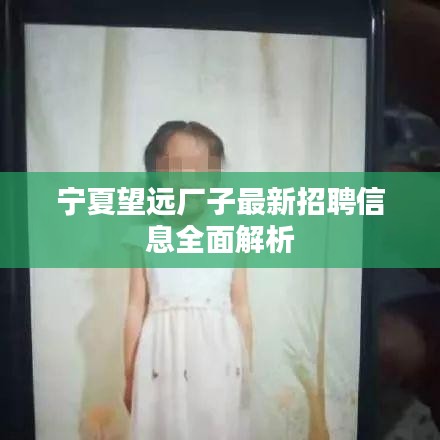 寧夏望遠(yuǎn)廠子最新招聘信息全面解析