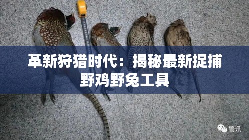 革新狩獵時代：揭秘最新捉捕野雞野兔工具